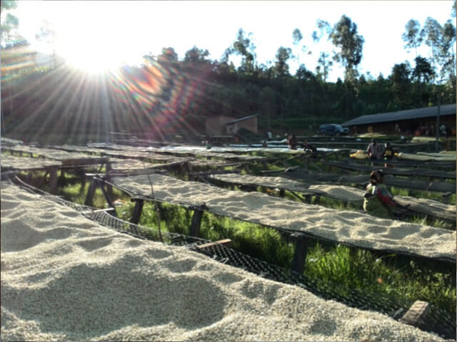 ブルンジ / Burundi