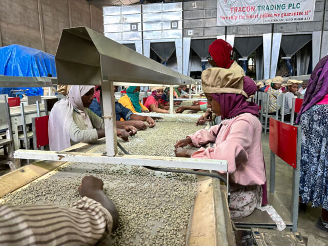 Ethiopia 5